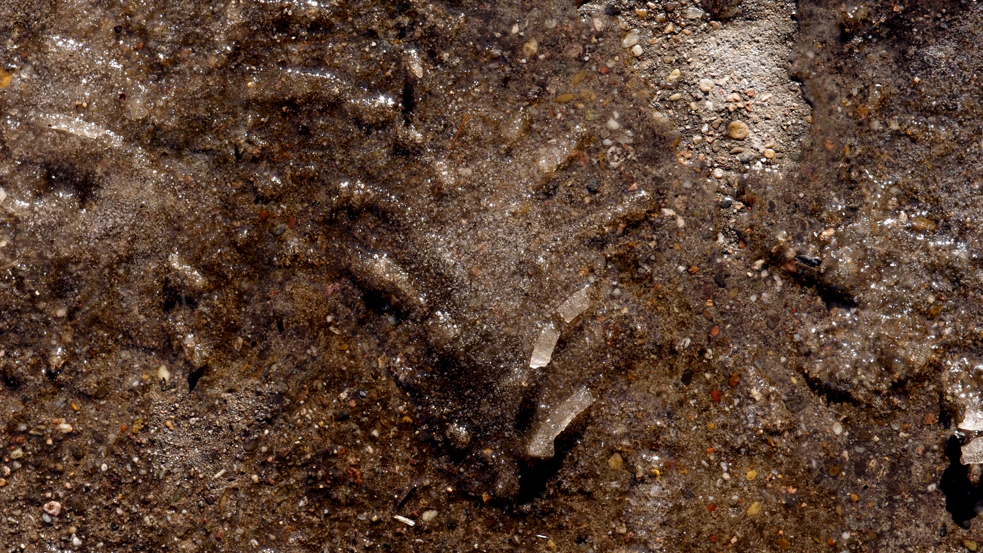 2021-01-30 Wasser in der Sple II, On-Off (Remix John Cage 'Sonatas & Interludes') (Komposition, Remix, Recording, Foto)